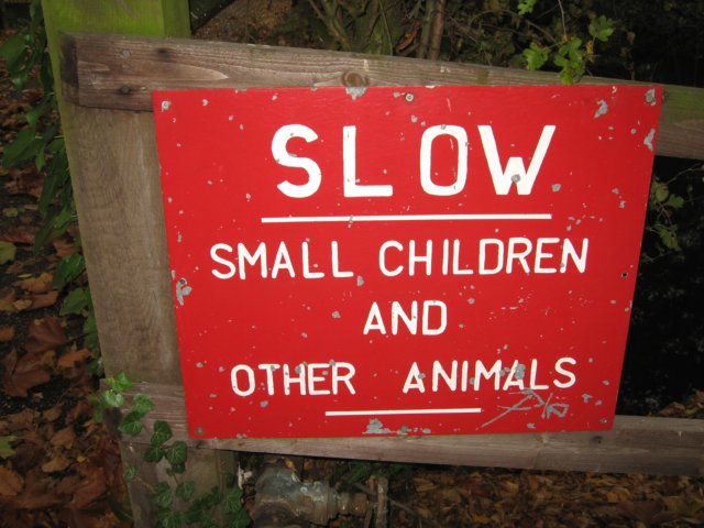 Slow! Small Children and Other Animals